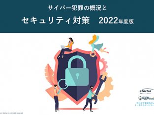 サイバー犯罪の概況とセキュリティ対策　2022年度版（全24P）