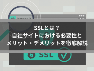 SSLとは？自社サイトにおける必要性とメリット・デメリットを徹底解説